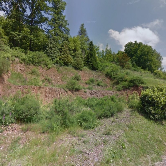 Terrain MOYENMOUTIER (88420) m2 13 000 € 