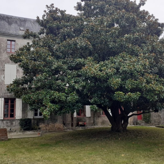 Appartement PARTHENAY (79200) 137.00m2 100 000 € 