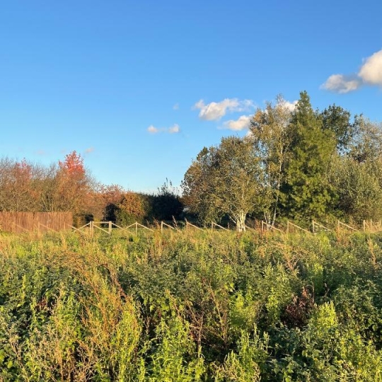 Terrain FEILLENS (01570) 0.00m2  - 81 810 € 