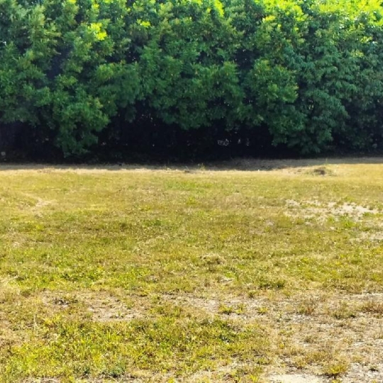 Terrain MARSAIS (17700) 632.00m2  - 33 000 € 