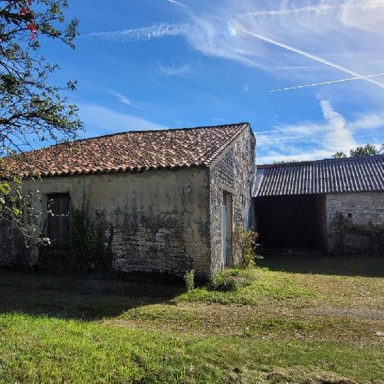 Maison / Villa NERE (17510) 350.00m2 38 900 € 