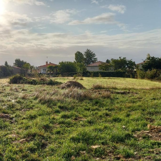 Terrain SURGERES (17700) 1450.00m2 130 000 € 