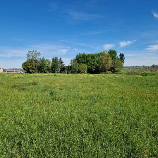 Terrain SAINT-PIERRE-DE-MONS (33210) 1388.00m2  - 71 500 € 