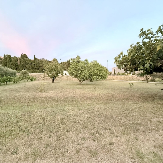 Terrain VACQUEYRAS (84190) m2 - 160 000 € 