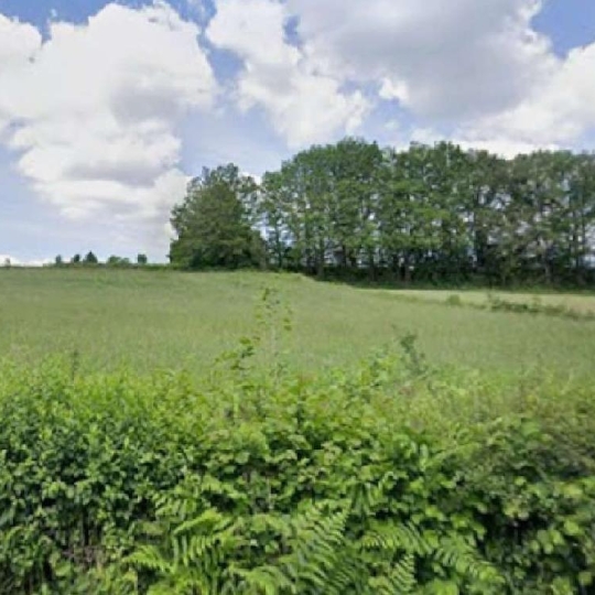 Terrain CHATEAUNEUF-LA-FORET (87130) 2622.00m2 13 500 € 