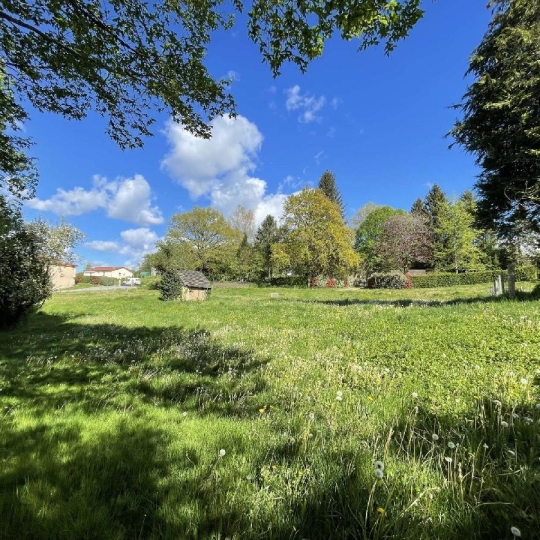 Terrain CHATEAUNEUF-LA-FORET (87130) m2 16 500 € 