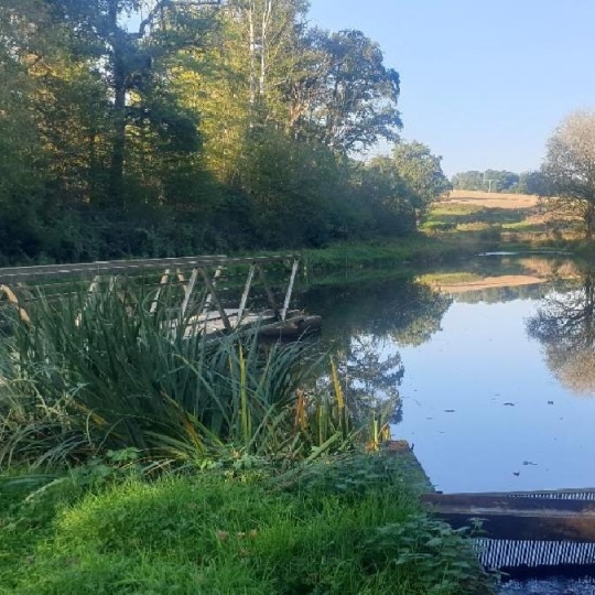 Terrain SAINT-LEONARD-DE-NOBLAT (87400) 21498.00m2 44 000 € 