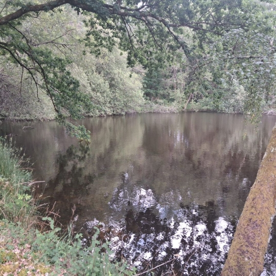 Terrain RILHAC-LASTOURS (87800) m2 28 000 € 
