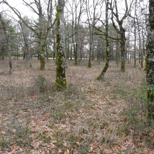 Terrain FLAUGNAC (46170) m2 51 000 € 