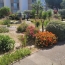 Studio LE GRAU-DU-ROI (30240)  21 m2 535 € 