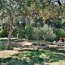 Maison BOISSIERES (30114)  100 m2 419 000 € 