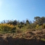 Terrain CASCASTEL-DES-CORBIERES (11360)   65 000 € 