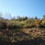 Terrain CASCASTEL-DES-CORBIERES (11360)   65 000 € 