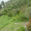 Terrain CASCASTEL-DES-CORBIERES (11360)   65 000 € 