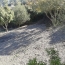 Terrain CASCASTEL-DES-CORBIERES (11360)   65 000 € 