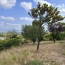 Villa GIGNAC (34150)  160 m2 624 000 € 