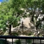 Maison de ville GIGNAC (34150)  76 m2 139 500 € 