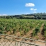 Maison CHATEAUNEUF-DU-PAPE (84230)  40 m2 696 € 