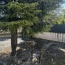 3 Pièces LE PONTET (84130)  69 m2 780 € 