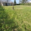 Terrain PONT-DE-VAUX (01190)   57 000 € 