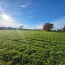 Terrain PONT-DE-VAUX (01190)  1 m2 89 000 € 