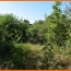 Terrain MONTLUEL (01120)   179 000 € 