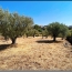 Terrain LES MAGES (30960)  990 m2 81 400 € 