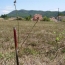 Terrain SAINT-FLORENT-SUR-AUZONNET (30960)  1 230 m2 59 000 € 