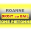 Local commercial ROANNE (42300)  55 m2 89 000 € 