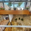 Maison de village BESSAN (34550)  150 m2 314 900 € 