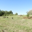 Terrain REALMONT (81120)   55 000 € 