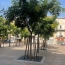 3 Pièces PERPIGNAN (66000)  60 m2 65 000 € 