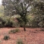 Terrain OLARGUES (34390)  13 m2 18 000 € 