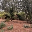 Terrain OLARGUES (34390)  13 m2 18 000 € 