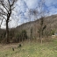 Terrain MERCUS-GARRABET (09400)   30 000 € 