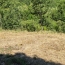 Terrain AX-LES-THERMES (09110)   55 600 € 