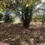 Terrain MONTGAILLARD (09330)   116 000 € 