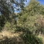 Terrain MONTGAILLARD (09330)   116 000 € 
