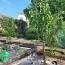 Terrain ANDOUILLE (53240)   4 500 € 