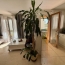 3 Pièces MONTPELLIER (34000)  58 m2 182 000 € 