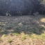 Terrain VAILHAUQUES (34570)   185 000 € 