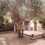 Maison OLONZAC (34210)  297 m2 290 000 € 