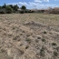 Terrain SIRAN (34210)   73 000 € 