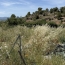 Terrain TOUROUZELLE (11200)   20 000 € 