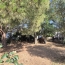 Villa SAINT-NAZAIRE-D'AUDE (11120)  108 m2 259 000 € 