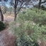 Villa FELINES-MINERVOIS (34210)  74 m2 199 000 € 