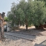 Villa CESSERAS (34210)  91 m2 209 000 € 
