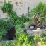 Maison LEYRAT (23600)  83 m2 141 500 € 