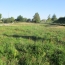 Terrain SAINTE-FOY (85150)  450 m2 108 500 € 