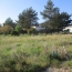Terrain BREM-SUR-MER (85470)  538 m2 108 000 € 